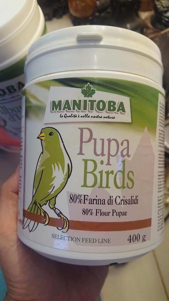 [HCM]Bột nhộng tằm dành cho chim vẹt chiết lẻ 20g