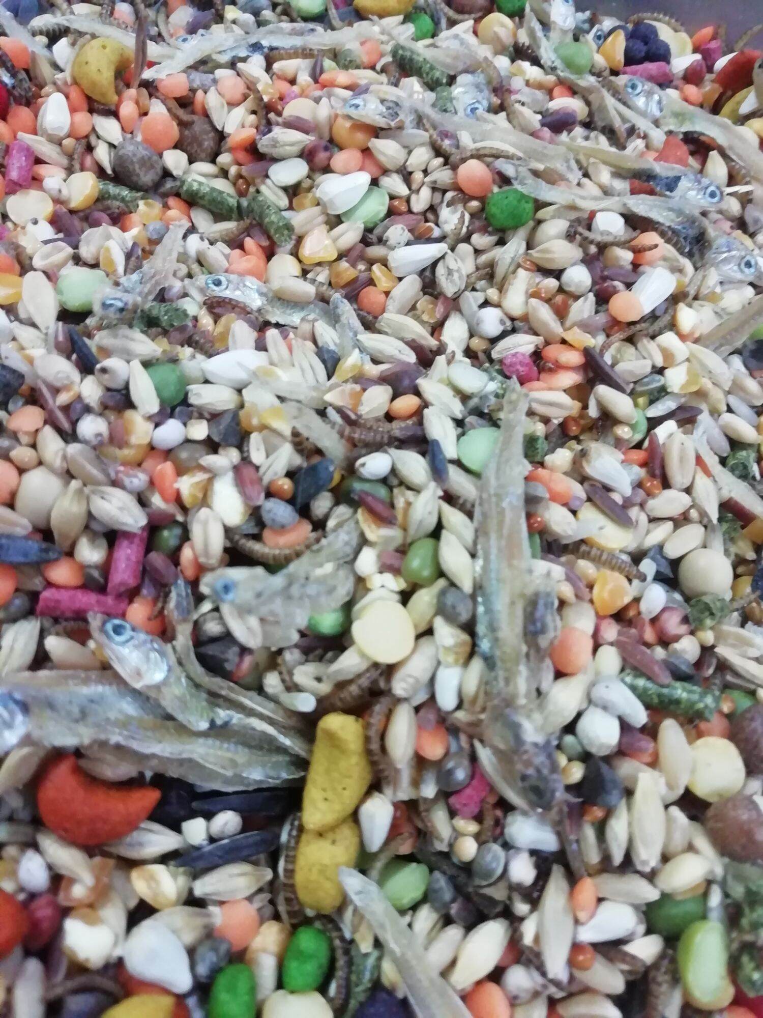 Thức ăn hamster hải sản gói 150g