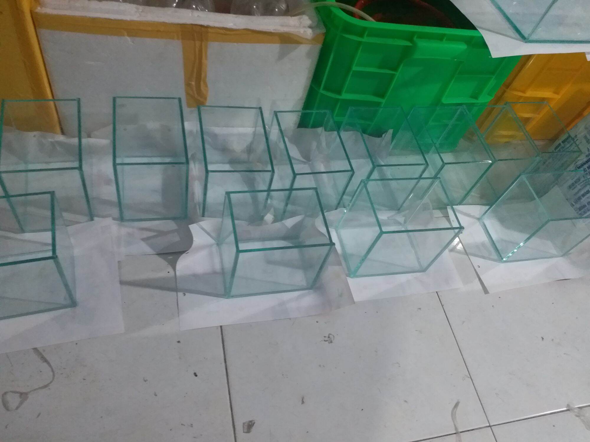 Hồ Cá Betta 15.10.15