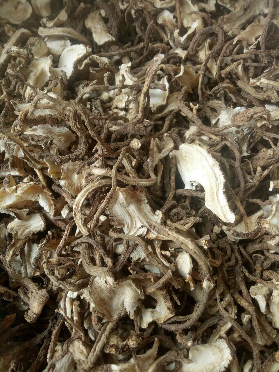 Sâm đương quy khô thái lát 250k/kg
