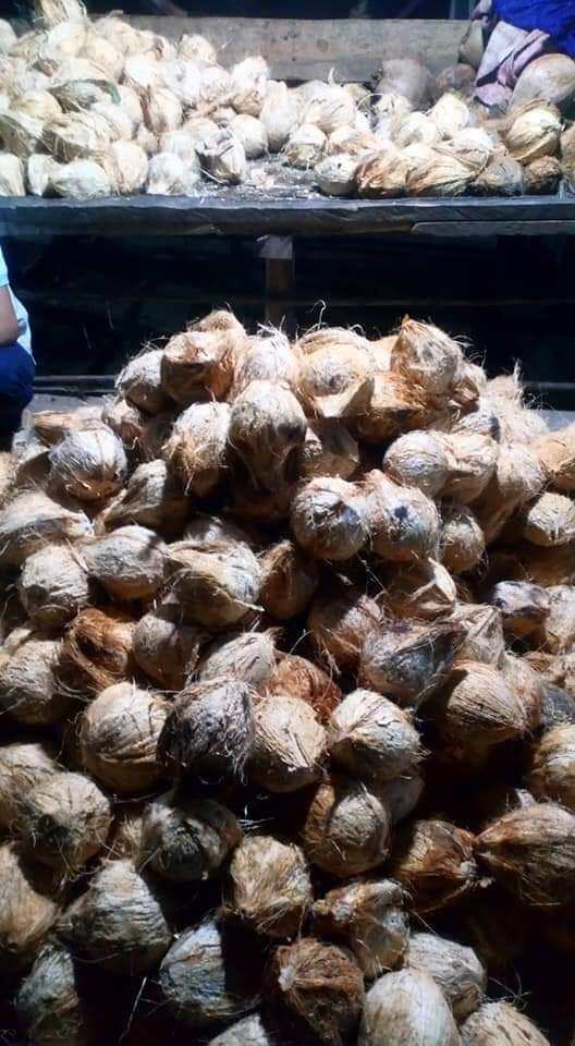 Dừa khô lột vỏ sẵn 1 trái trên 1kg