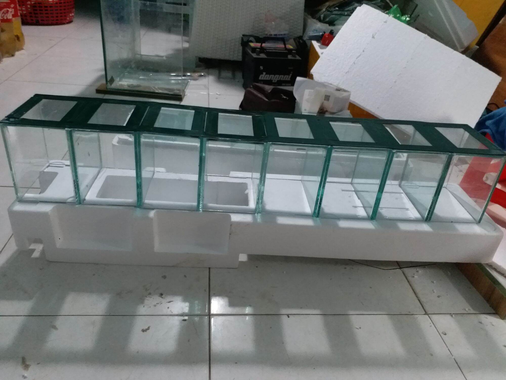 Hồ Cá Betta 15.10.15