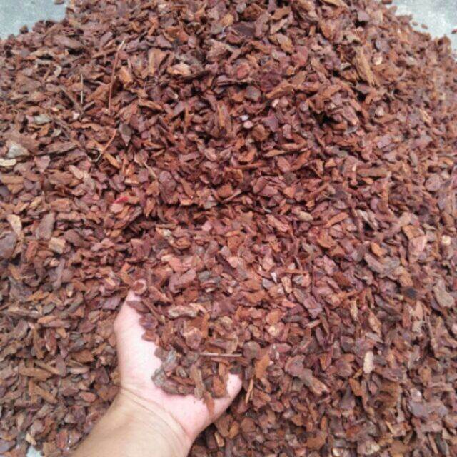 1 kg vỏ thông vụn hạt đỗ