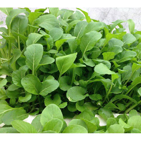 Bánh xơ dừa (viên nén sơ dừa) 450g (nở 7lít) đã xử lý