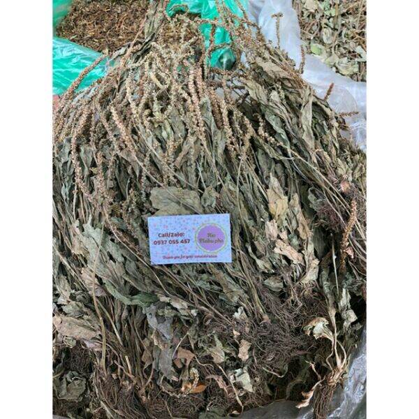 1kg bông má đề bông mã đề
