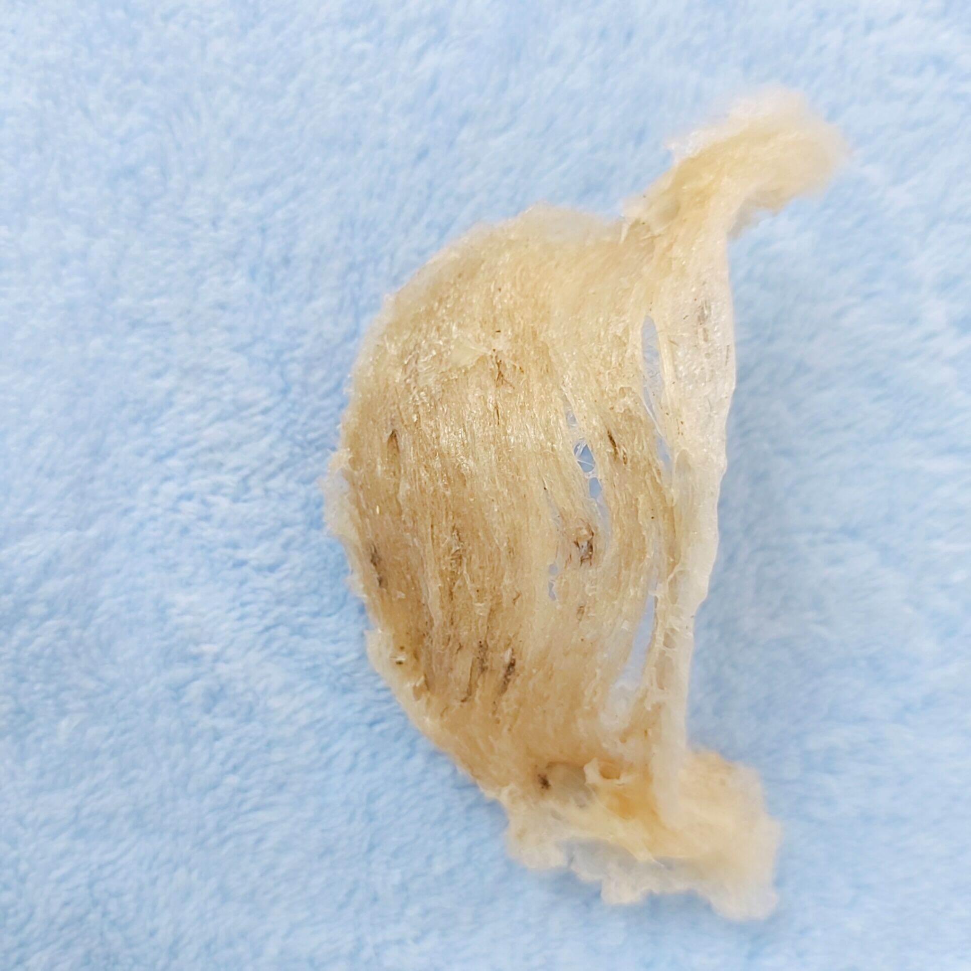 [HCM]Tổ yến thô 4-5 g