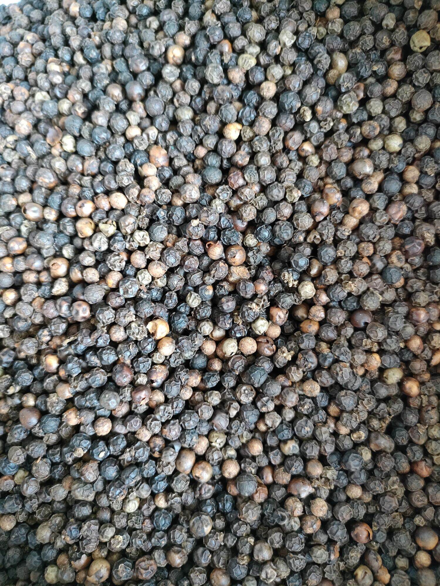 1kg tiêu đen daklak