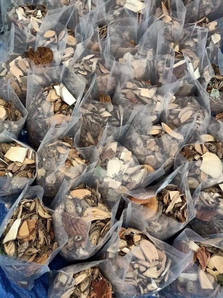 Lá tắm dân tộc Dao Đỏ