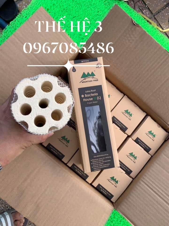 SỨ CỦ SEN THẾ HỆ 3 , SỨ LỌC NƯỚC CAO CẤP CỦA HÃNG MOUNTAIN TREE , SỨ LỌC NƯỚC TỐT