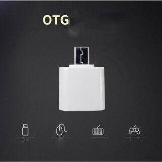 Đầu chuyển OTG Micro Usb - OTG Micro Usb sang Usb