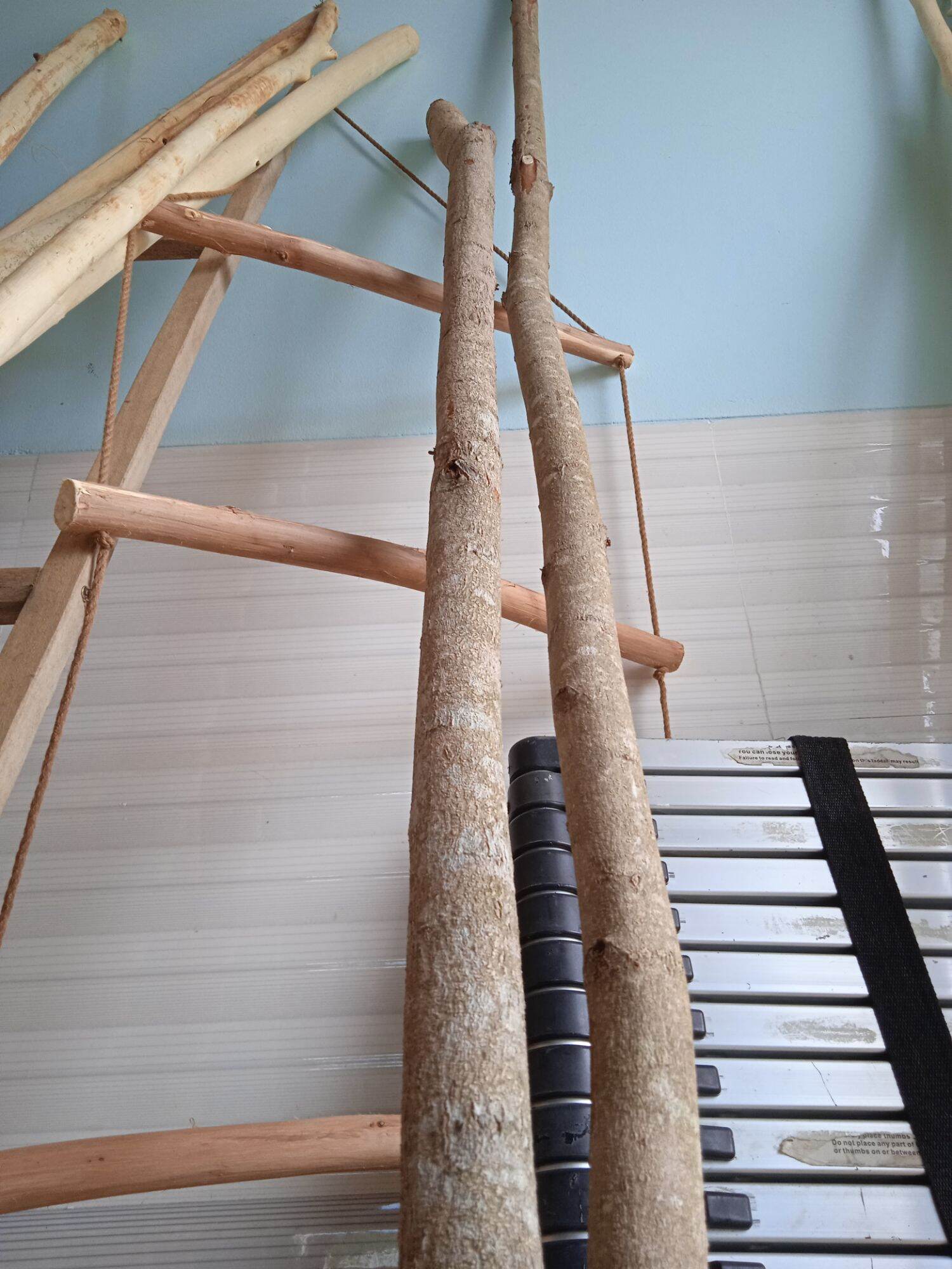 Cành cây gỗ tự nhiên làm macrame 2m-2m2