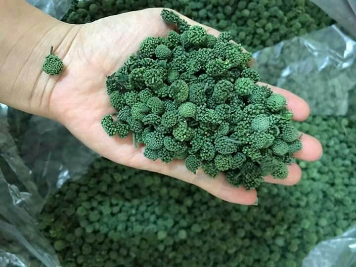 1kg nụ tam thất bao tử