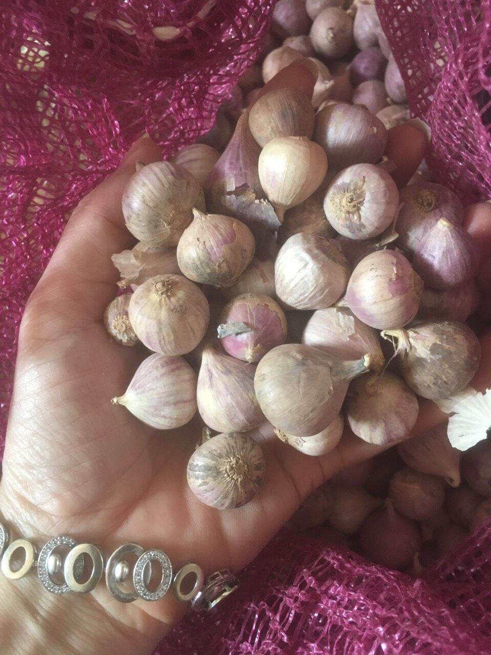 500g tỏi cô đơn