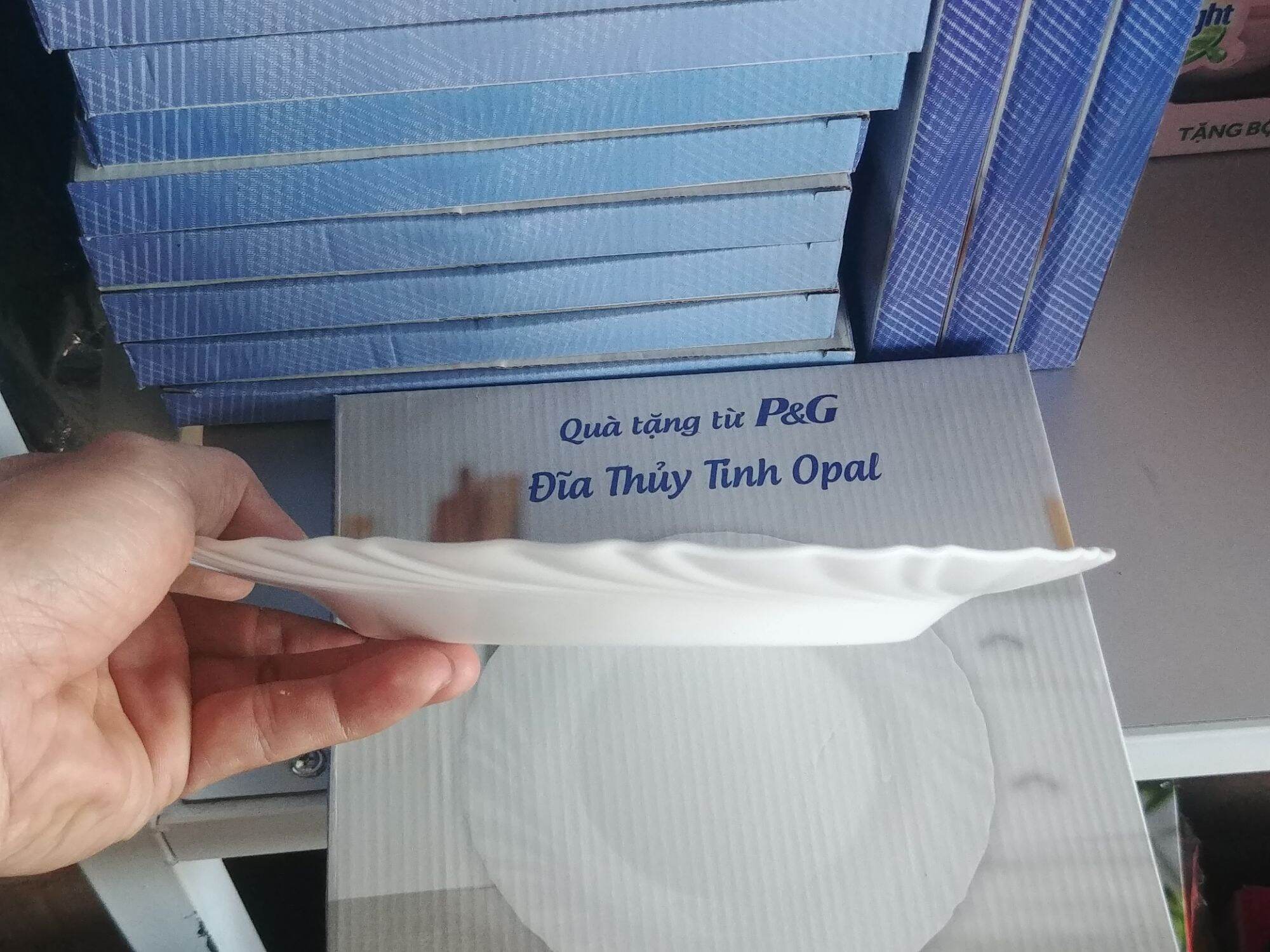 Đĩa thủy tinh Opal cao cấp