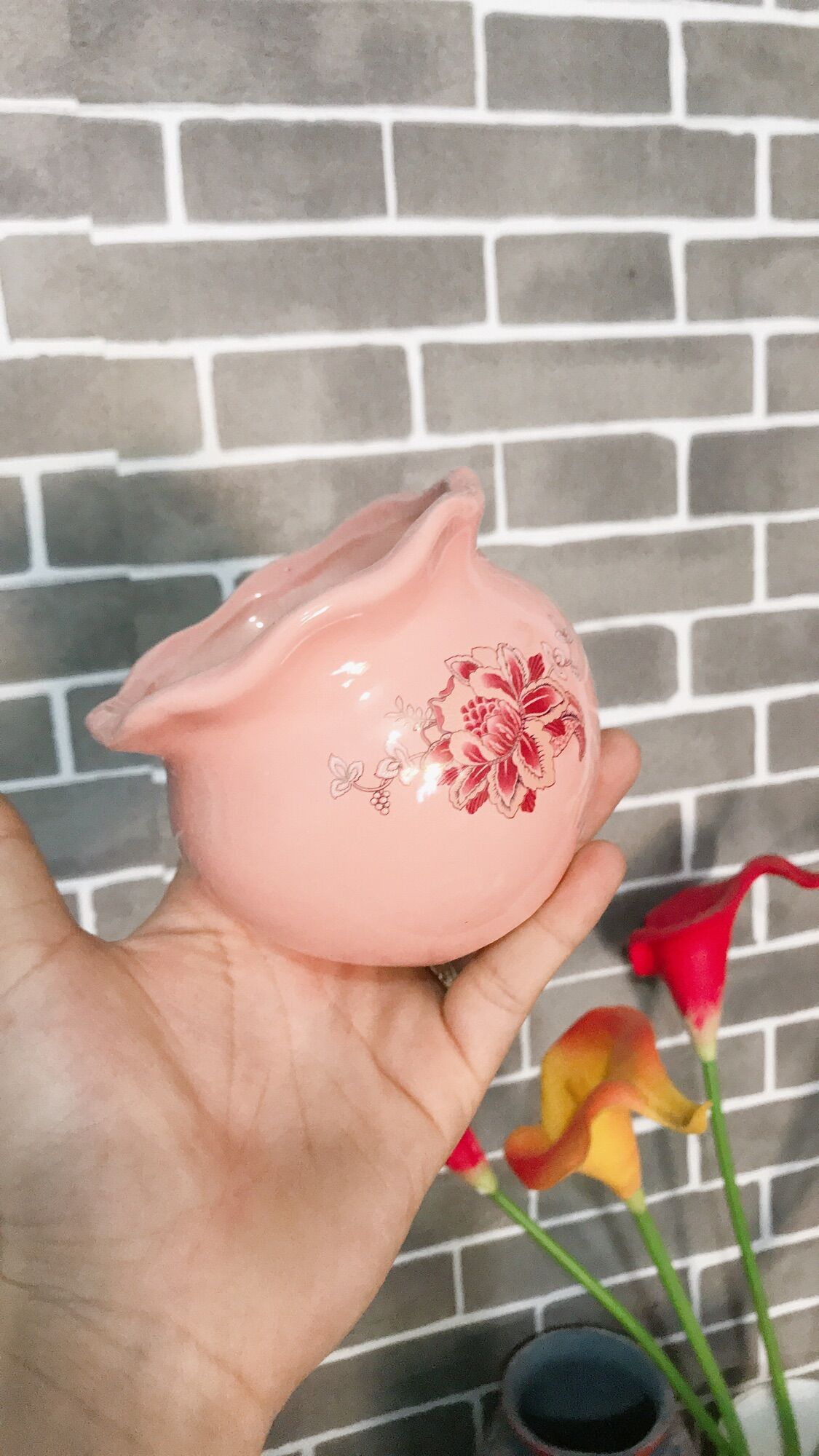 Chậu sứ miệng bèo trồng cây
