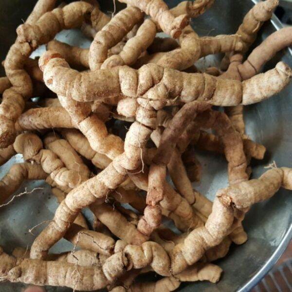 500g ba kích tím tươi