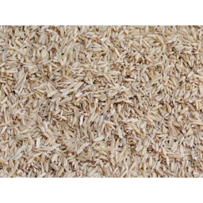 500gr trấu sống