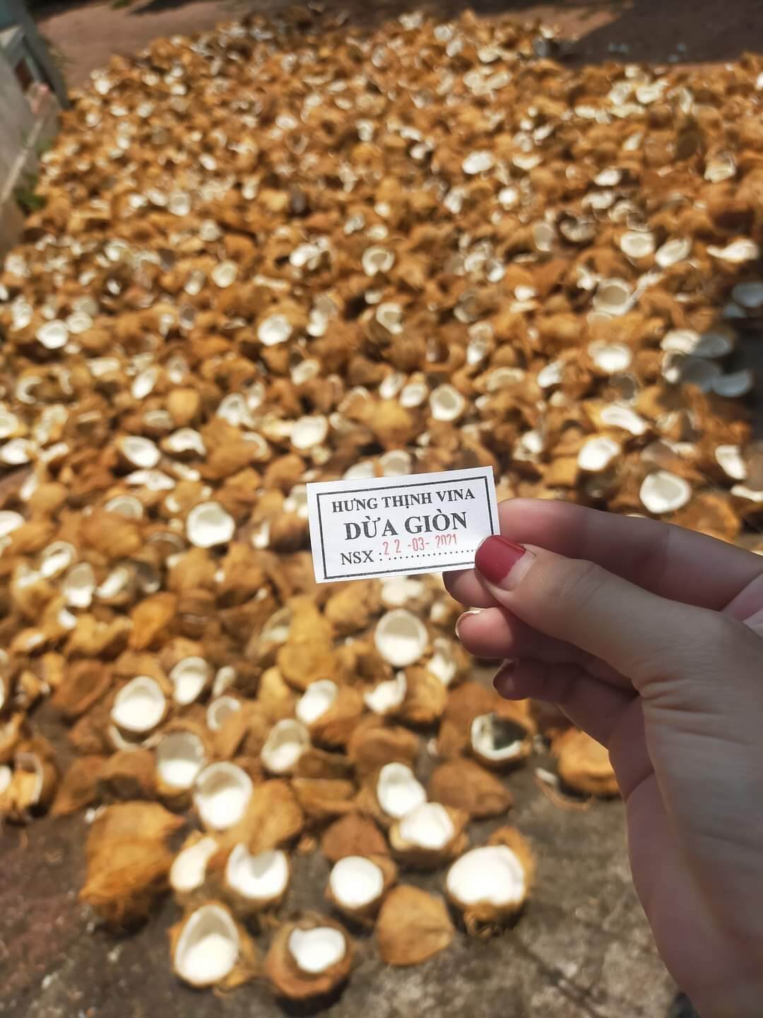 1kg dừa sấy giòn Hưng Thịnh Vina