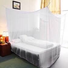 Màn Tuyn Trắng Cá Nhân Loại 1.2m