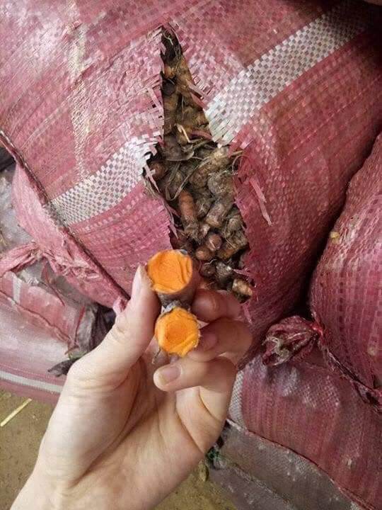 Tinh Bột Nghệ Nhà Làm 1Kg