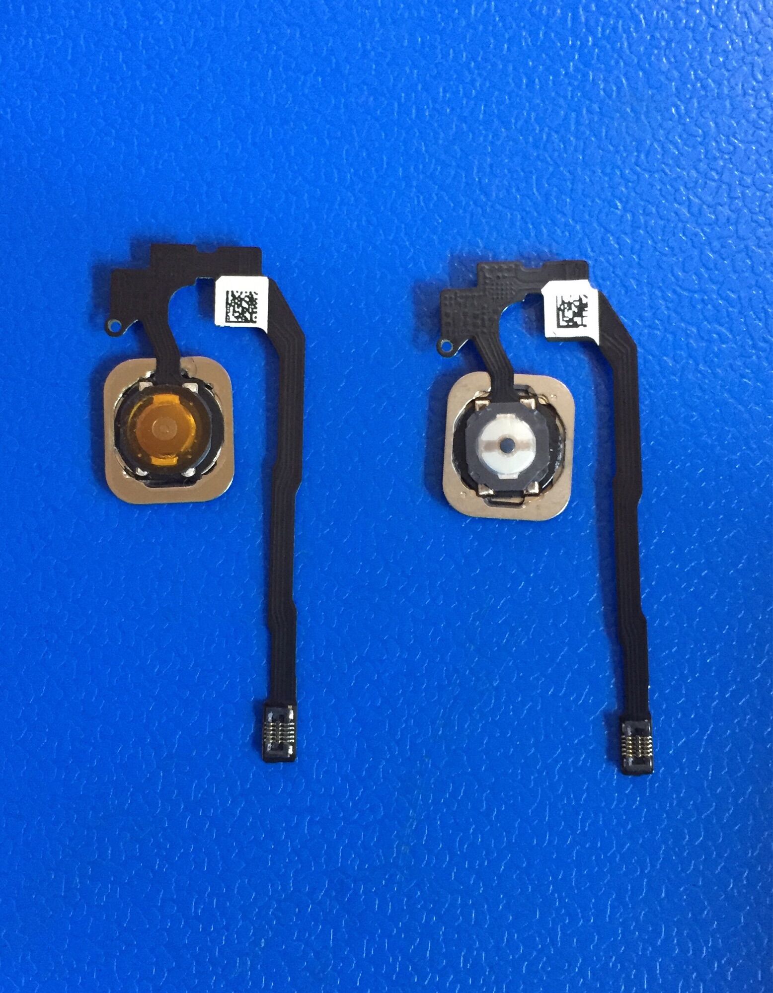 Nút home iphone 5s