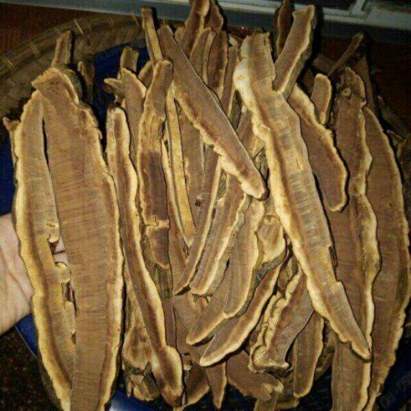 500g nấm linh chi rừng