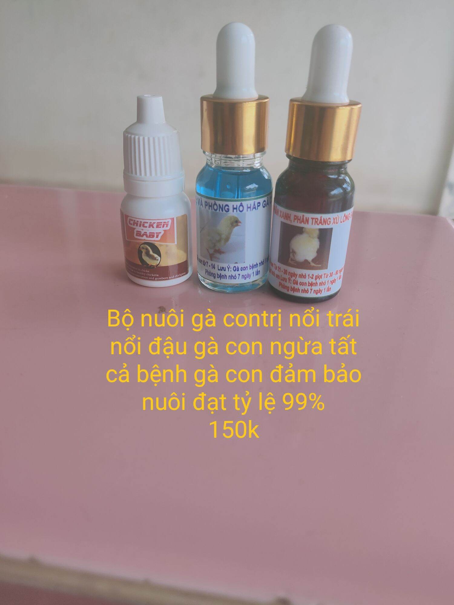 Nuôi gà con