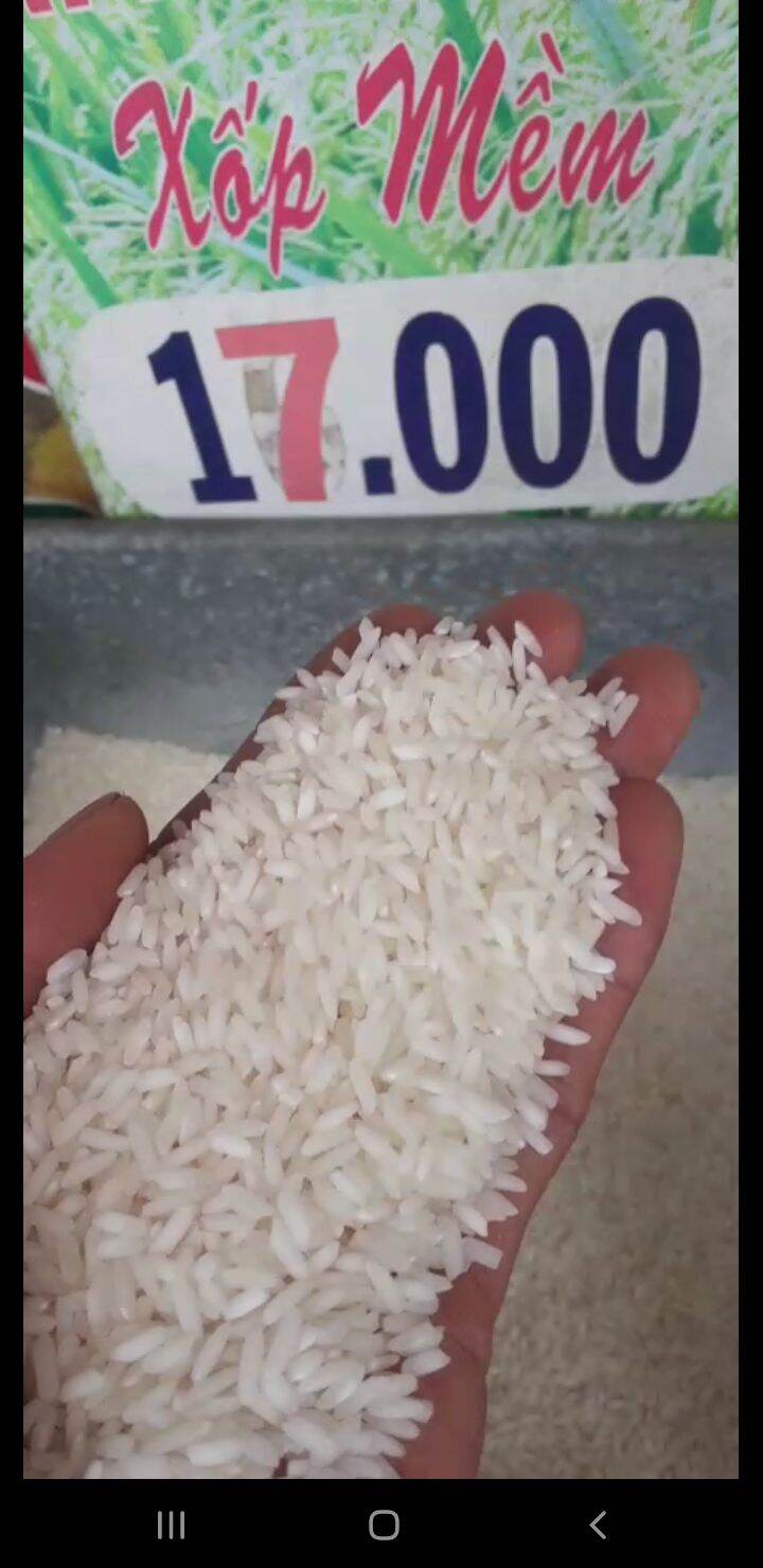 Tài nguyên chợ đào túi 10kg