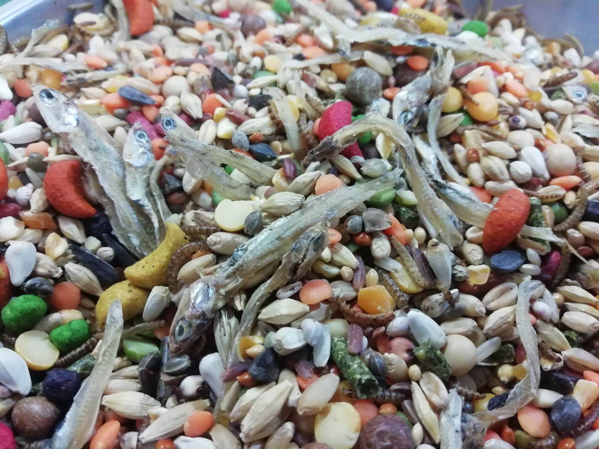 Thức ăn hamster hải sản gói 150g