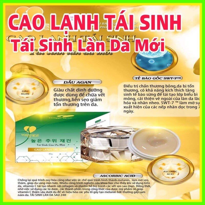CAO LẠNH TÁI SINH PHƯƠNG ANH