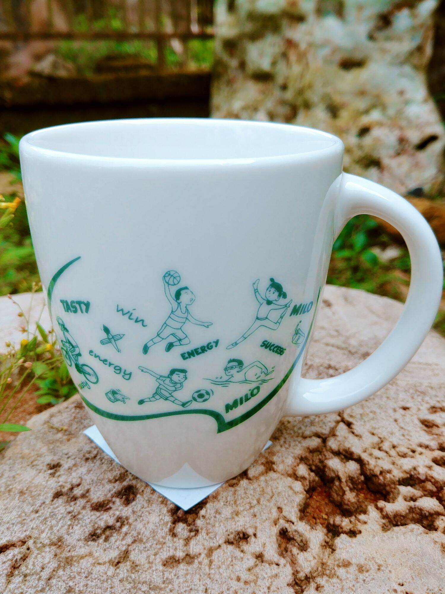 Ly sứ cao cấp Donghwa