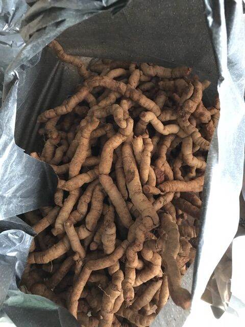 500g ba kích tím