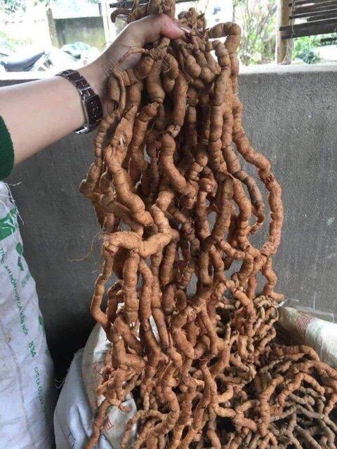 1kg ba kích tươi
