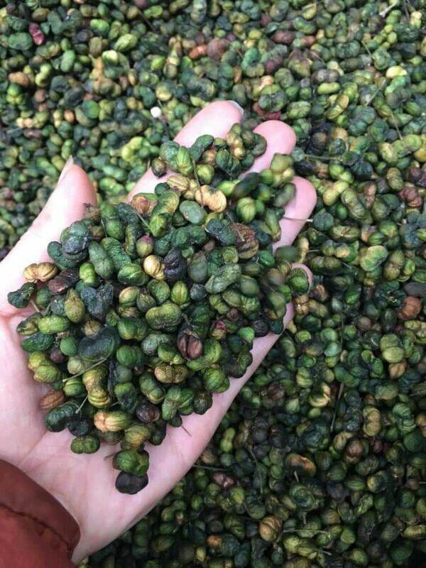 500g hạt tam thất