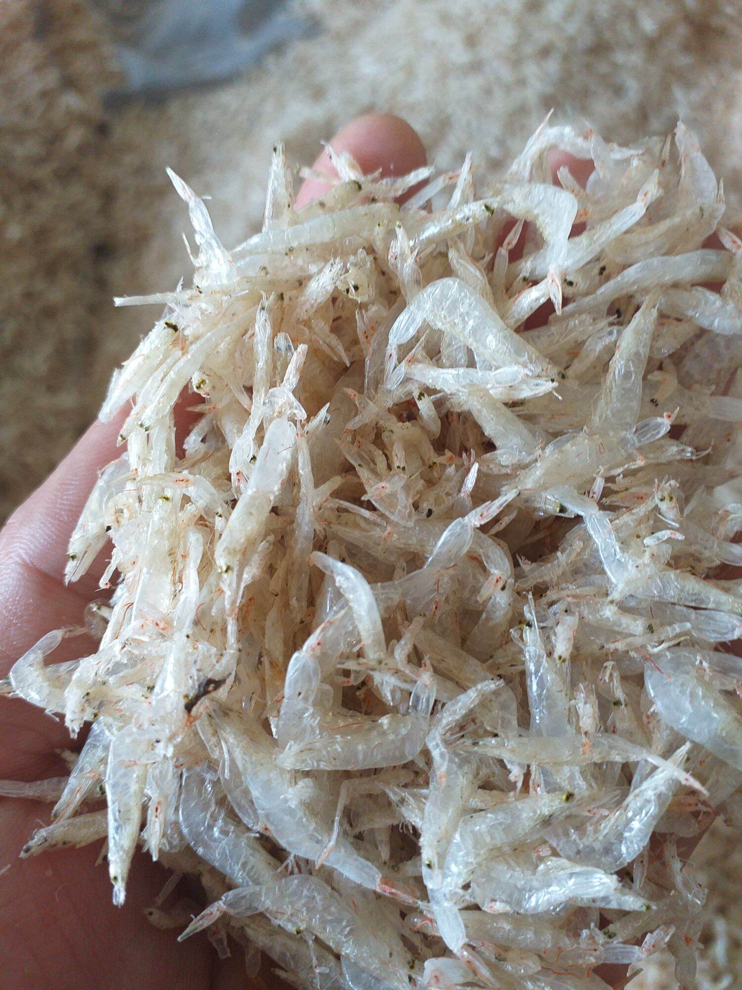 Ruốc khô 1kg Bạc Liêu