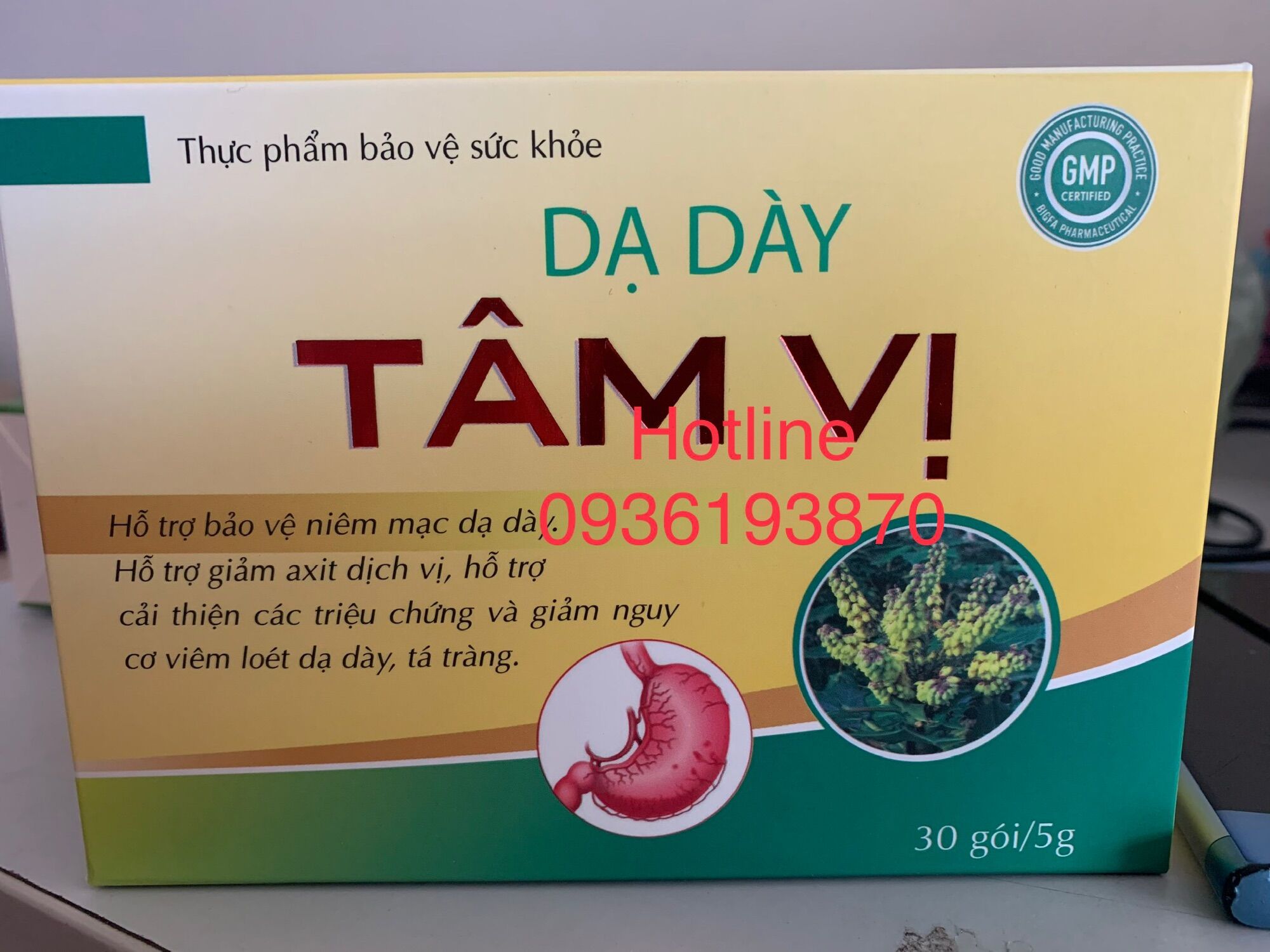 DẠ DÀY TÂM VỊ