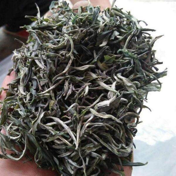 1kg chè shan tuyết