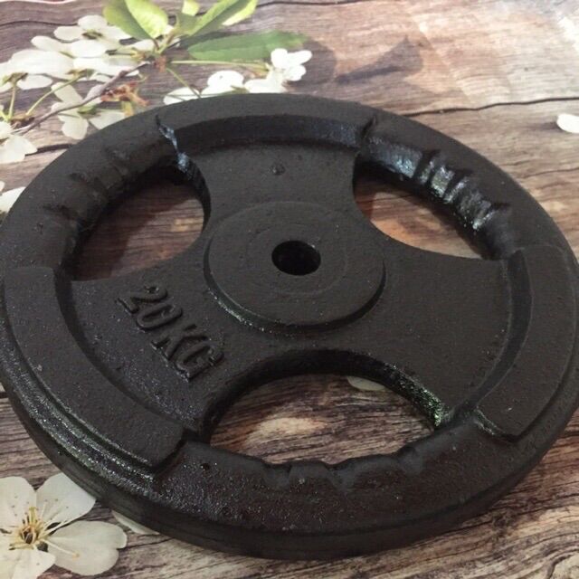 Tạ Gang, Tạ Miếng Gang 3 Lỗ 20Kg