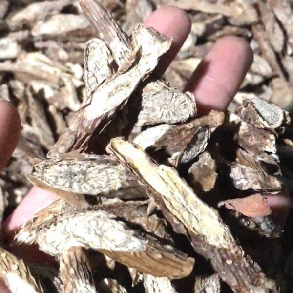 1kg dây đau xương ( cây thuoc dac tri xuong khop)