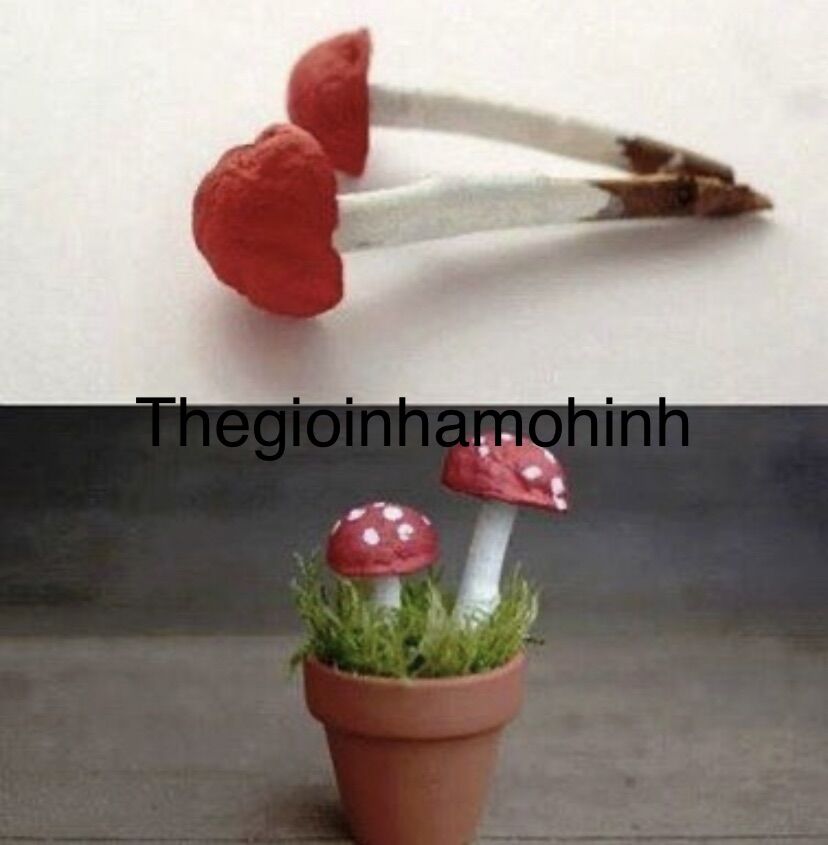 Tiểu cảnh, mô hình tiểu cảnh trang trí nhà mô hình