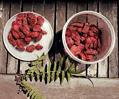 [Dalat’93food] Dâu sấy dẻo Đà Lạt- hủ 500g