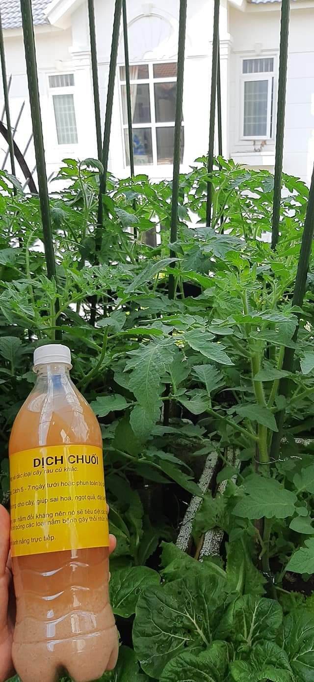 Dịch chuối nhà làm 300ml