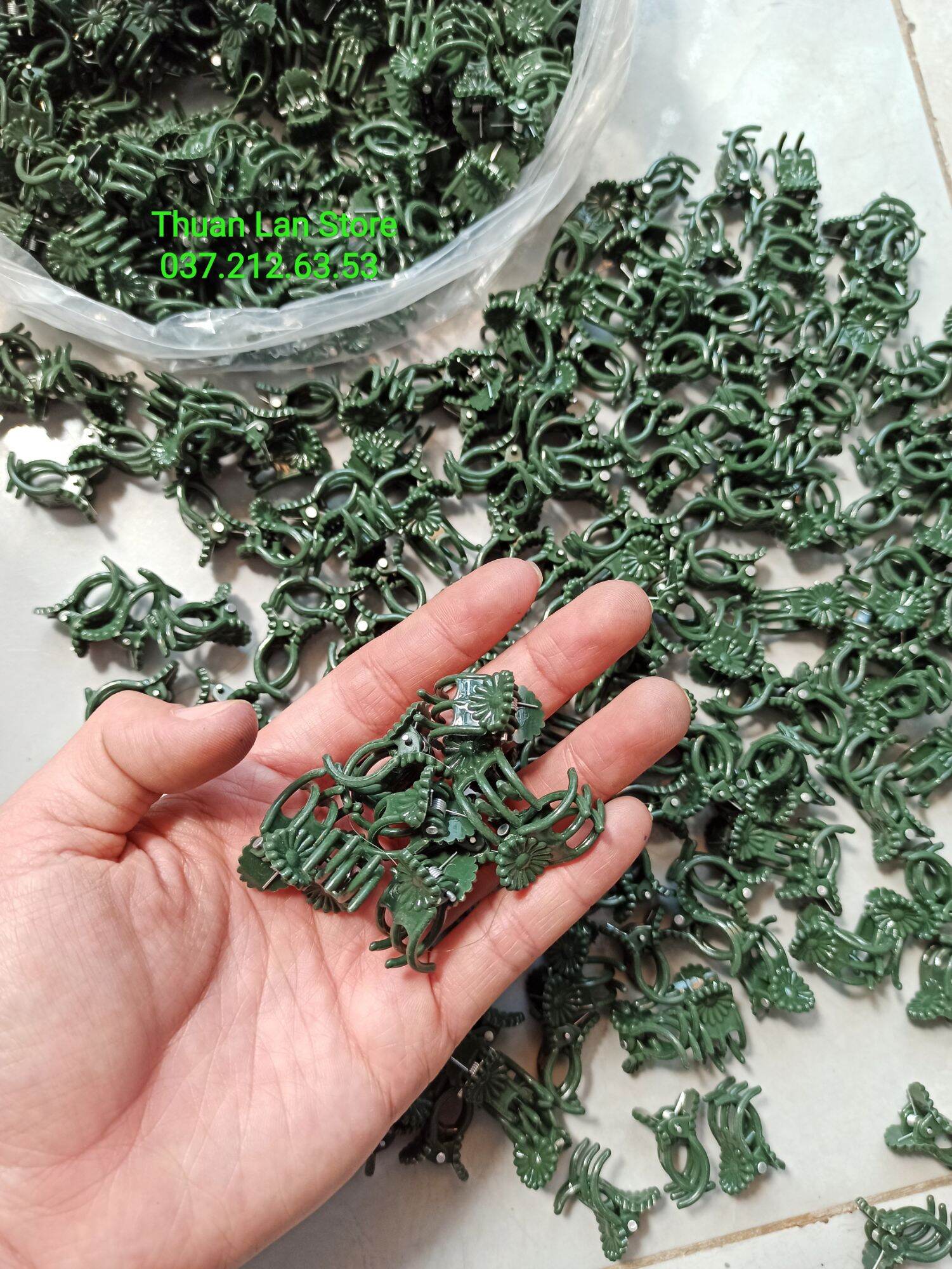 Set 20c kẹp cố định lan size trung