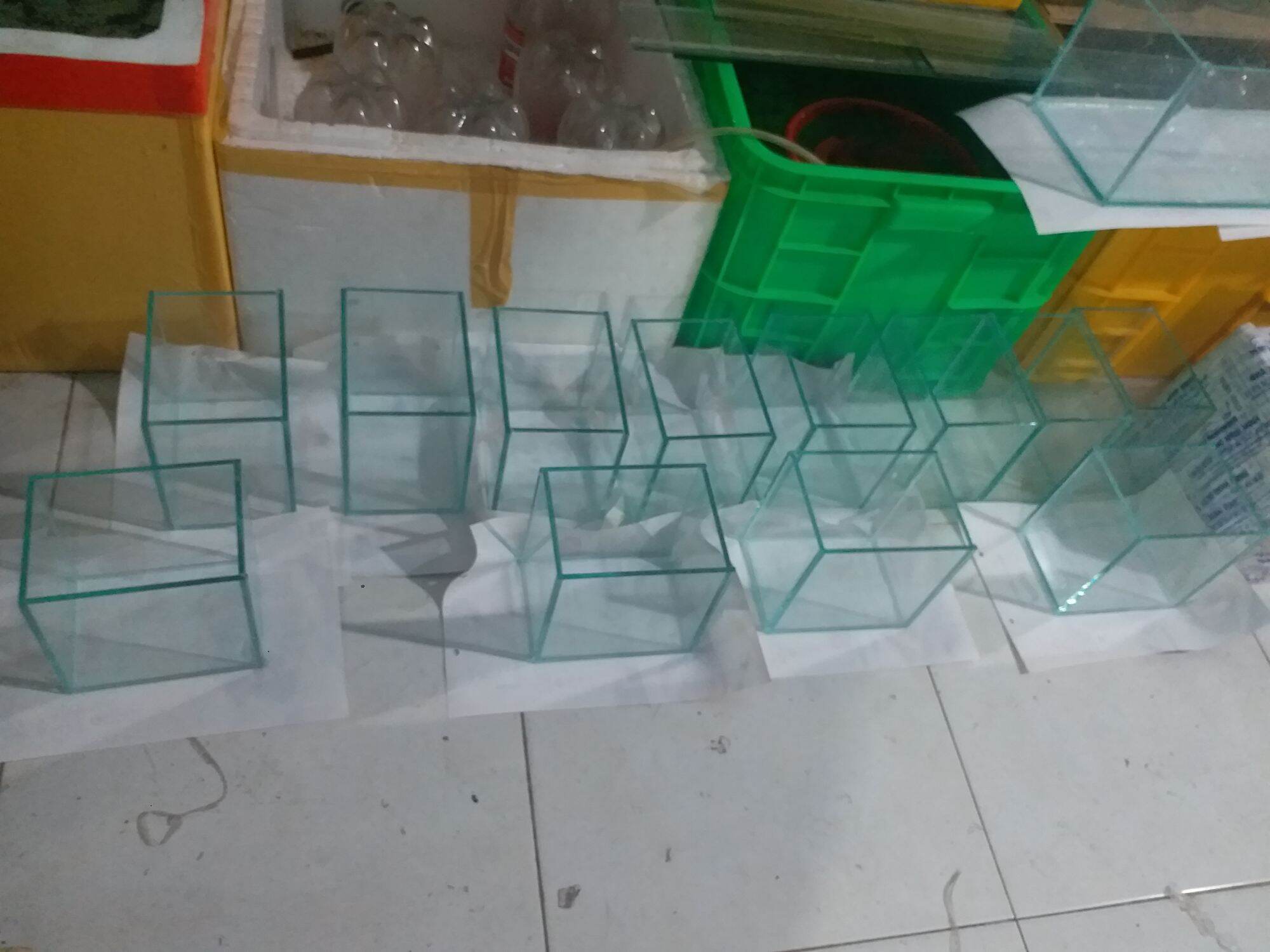 Hồ Cá Betta 15.10.15