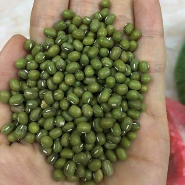 500g đỗ xanh