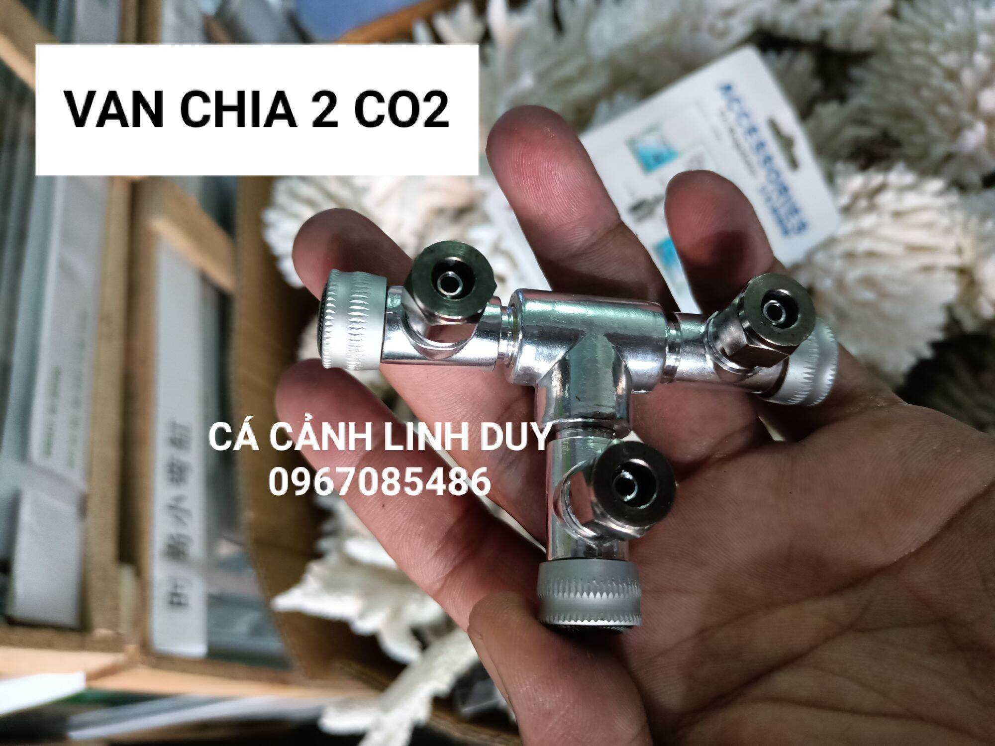 VAN CHIA 2 CO2 , VAN CHIA CO2 , VAN CHIA 2 BÌNH CO2