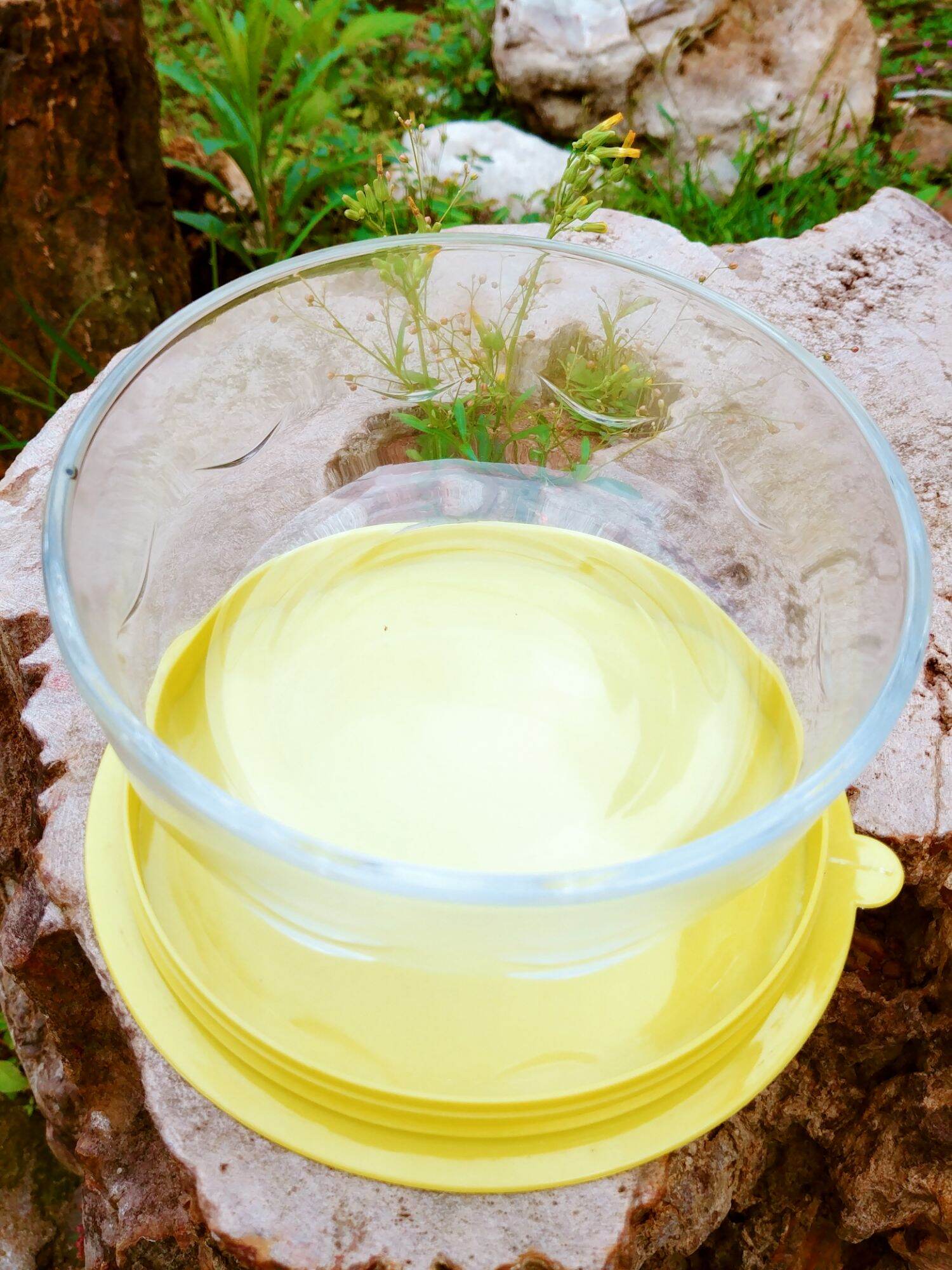 Thố thủy tinh cao cấp có nắp (bộ 3 thố)