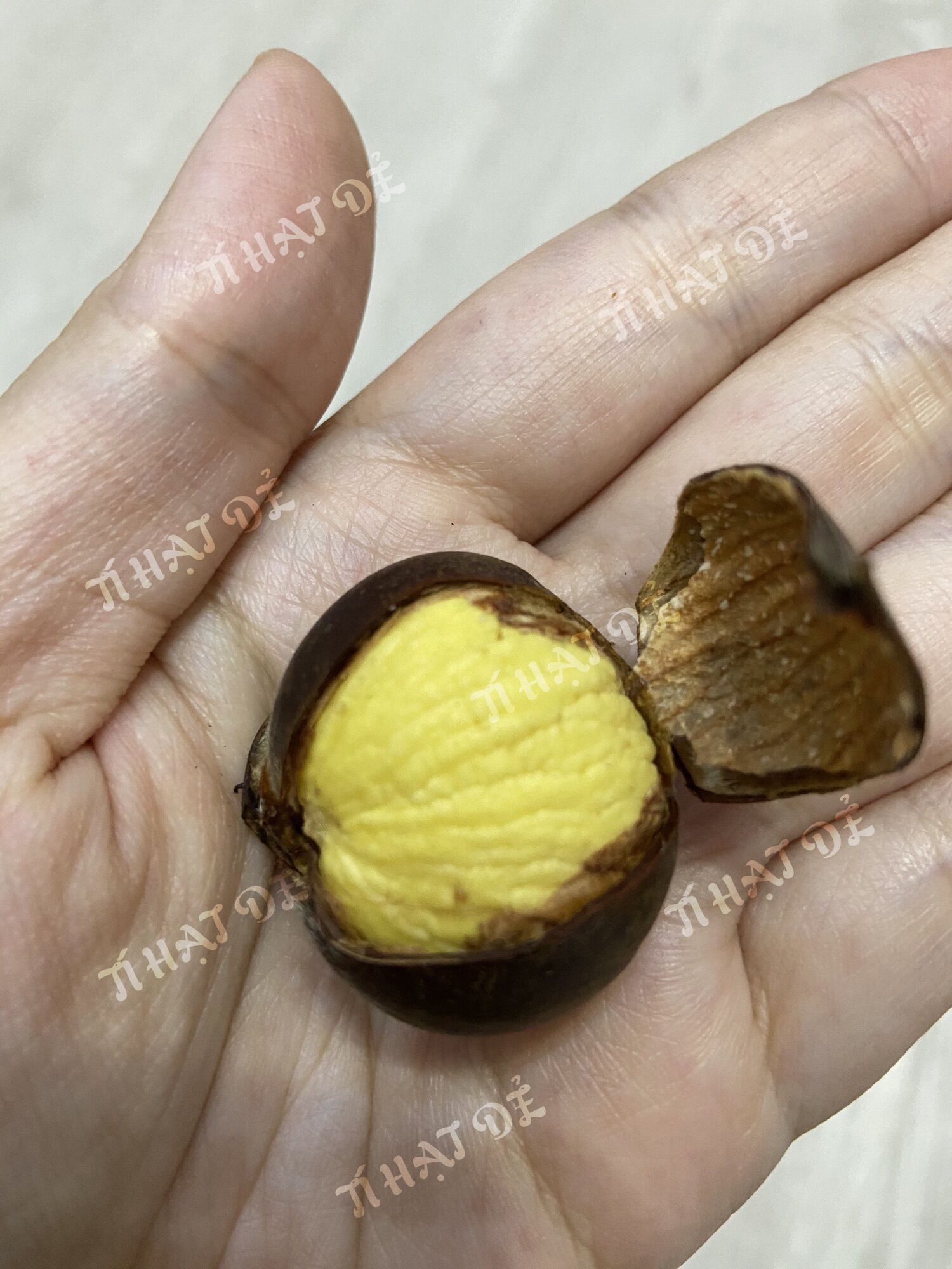Hạt dẻ tươi tách vỏ luộc sẵn