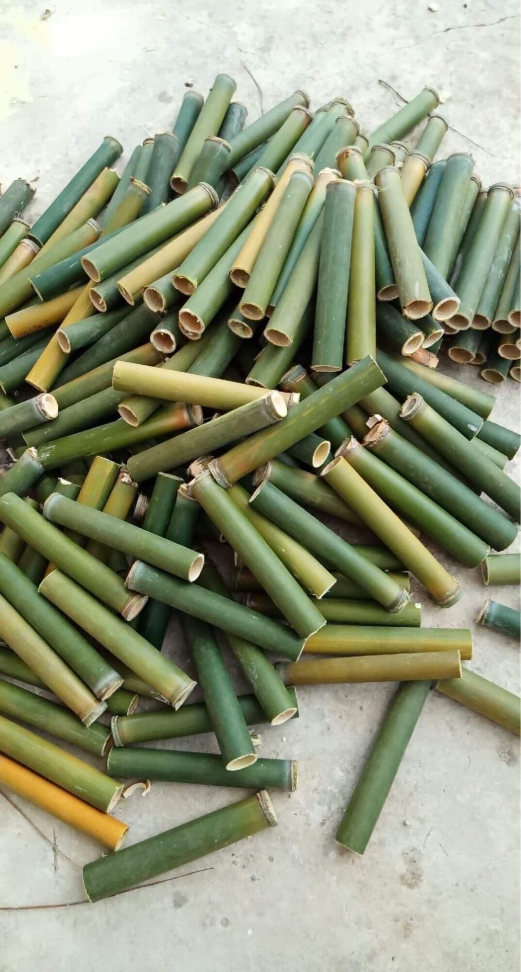 50 ống tre dùng nướng thịt