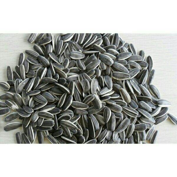500g hạt hướng dương